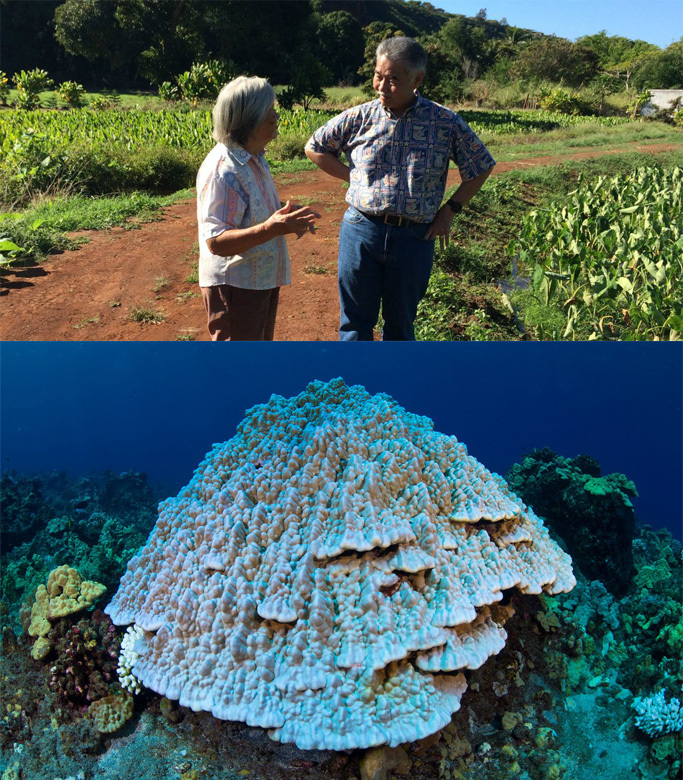 Hawaiʻi Leading the World in Climate Action